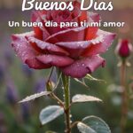 buenos días un buen día para ti, mi amor