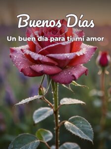 Frases d buenos dias con imágenes para mi amor