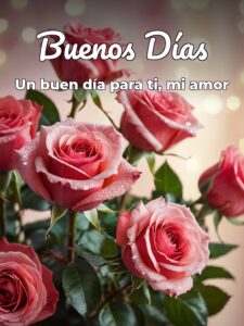Frases d buenos días mi amor para WhatsApp