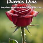buenos días empieza tu día sabiendo que te amo