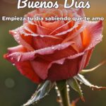 buenos días empieza tu día sabiendo que te amo