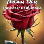 buenos días pensando en ti esta mañana
