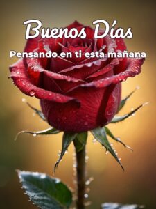 Frases de amor d buenos días para una amiga