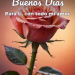 buenos días para ti, con todo mi amor