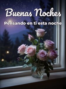 Frases de amor de buenas noches para mi amor para WhatsApp