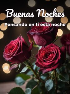 Frases de amor deseando buenas noches para celular
