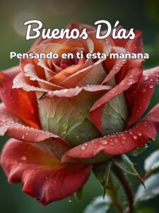 Frases de amor para dar buenos días para celular