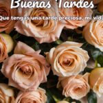buenas tardes que tengas una tarde preciosa, mi vida