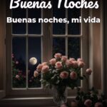 buenas noches buenas noches, mi vida