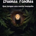 buenas noches que tengas una noche tranquila