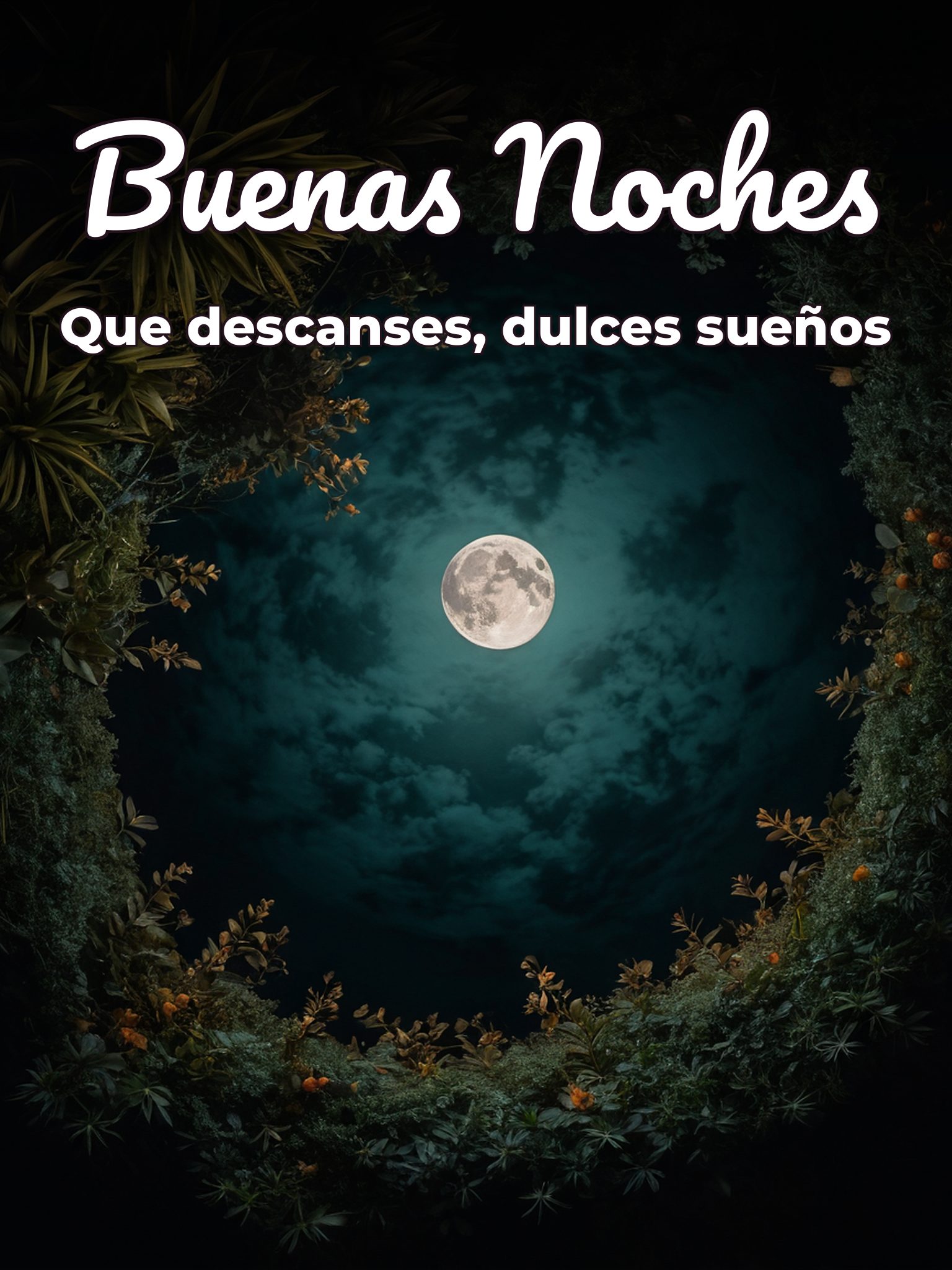 Frases de buenas noches hermosas