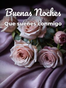 Frases de buenas noches mi amorcito para celular