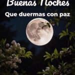 buenas noches que duermas con paz