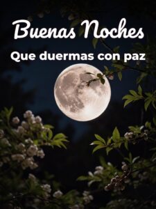 Frases de buenas noches para celular