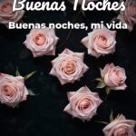 buenas noches buenas noches, mi vida