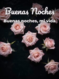 Frases de buenas noches para el amor de tu vida para WhatsApp