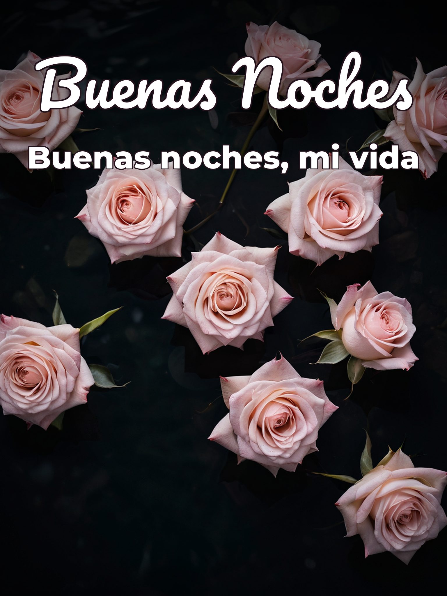 Frases de buenas noches para el amor de tu vida para WhatsApp