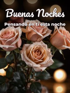 Frases de buenas noches para mi amor