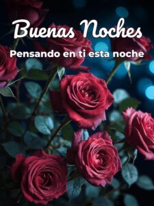 Frases de buenas noches para mi amor para celular