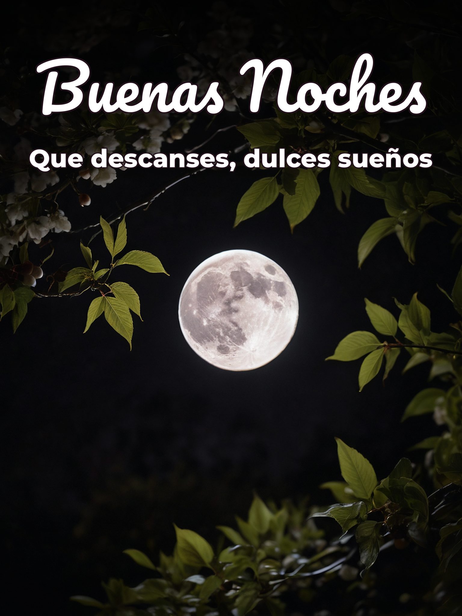 Frases de buenas noches para mi mujer para celular