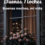 buenas noches buenas noches, mi vida