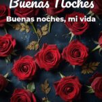buenas noches buenas noches, mi vida