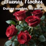 buenas noches dulces sueños, mi amor