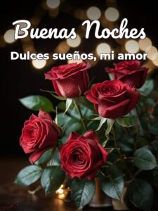 Frases de buenas noches para un amor para WhatsApp