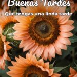 buenas tardes que tengas una linda tarde