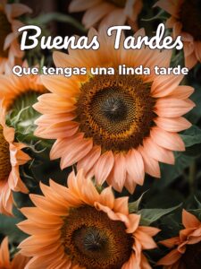 Frases de buenas tardes cortas para WhatsApp celular
