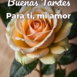 buenas tardes para ti, mi amor