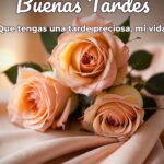 buenas tardes que tengas una tarde preciosa, mi vida