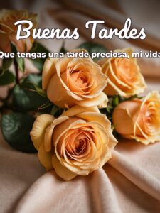 Frases de buenas tardes para mi amor para WhatsApp celular