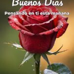 buenos días pensando en ti esta mañana
