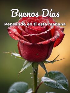 Frases de buenos días amor para una amiga