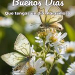 buenos días que tengas un día maravilloso