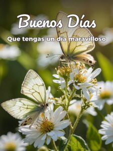 Frases de buenos dias con cariño para celular