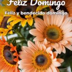 feliz domingo feliz y bendecido domingo