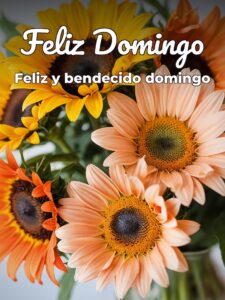 Frases de buenos días domingo para celular