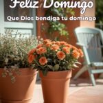 feliz domingo que dios bendiga tu domingo