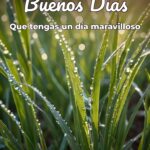 buenos días que tengas un día maravilloso