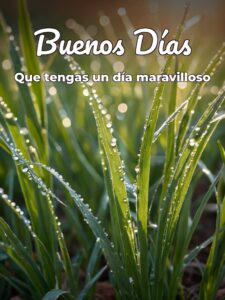 Frases de buenos días lindas
