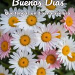 buenos días que tengas un día maravilloso