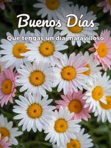 Frases de buenos días lindas para Facebook
