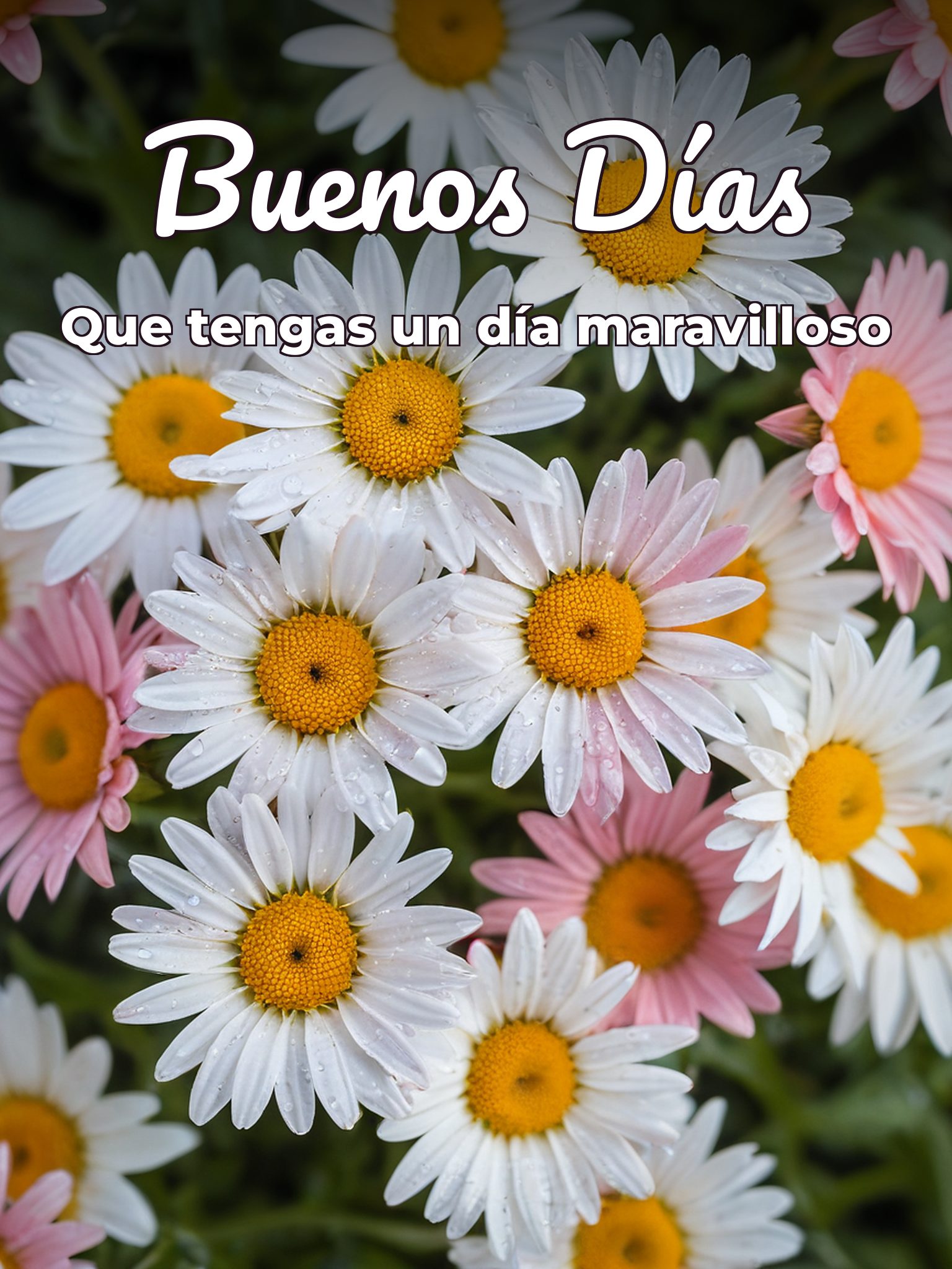 Frases de buenos días lindas para Facebook