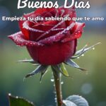 buenos días empieza tu día sabiendo que te amo