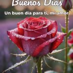 buenos días un buen día para ti, mi amor