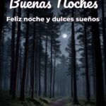 buenas noches feliz noche y dulces sueños