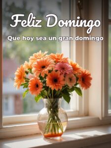 Frases de día domingo para celular