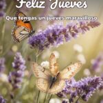 feliz jueves que tengas un jueves maravilloso